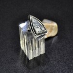 СРЕБЪРЕН ПРЪСТЕН - УНИКАТ, С ДЕНДРИТ ОПАЛ