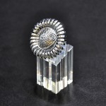 СРЕБЪРЕН ПРЪСТЕН „ХРИЗАНТЕМА“